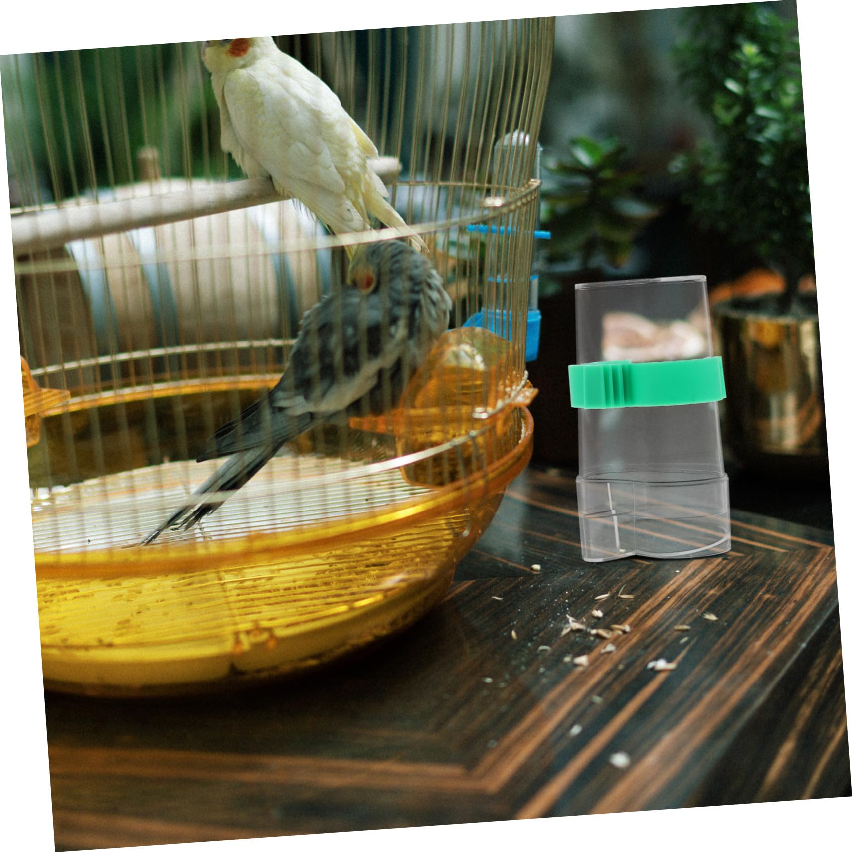 FRCOLOR 3 Set Di Erogatori Dacqua Per Uccelli Mangiatoia Per Polli E Abbeveratoio Mangiatoia Per Animali Domestici Design Sicuro E A Prova Di Perdite 2 Pezzi*3