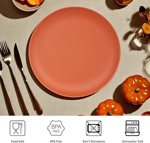 Miniatura 2 de TP Juego de platos redondos de melamina de 10 pulgadas, platos llanos redondos de melamina irrompibles para el hogar, fiestas al aire libre,