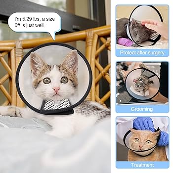 Depets Adjustable Recovery Pet Cone E-Collar For Cats Puppy Rabbit, Plastic Elizabeth Protective Collar Wound Healing Practical Neck Cover, Neck Girth 8.1 In