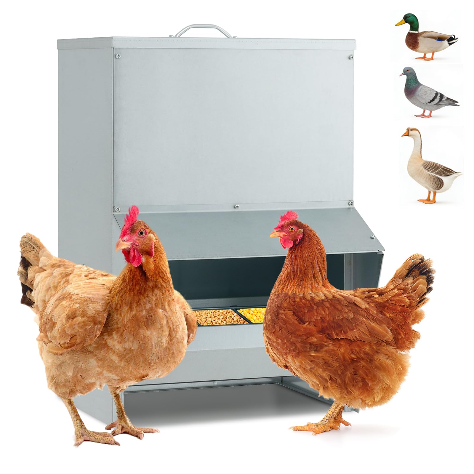 COSTWAY Mangeoire Poules XXL Anti Nuisible 22 kg, Fixation Murale/Sol, Métal Galvanisé, Mangeoire Poule Automatique pour Canards Oies Faisans Dindes, Ideal Microfermes et Élevages Familiaux