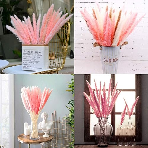 Miniatura 6 de 60 tallos de hierba de las pampas de 17.5 pulgadas, flores secas naturales, pequeñas ramas de hierba de la pampa para jarrón, arreglo floral, boda