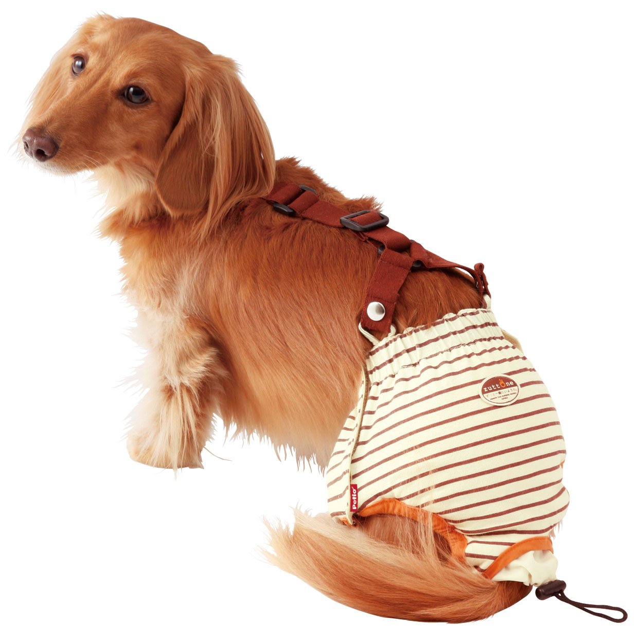 未使用品❣️ペット犬用ベリーバンド 洗濯可能 犬用おむつ ベリーバンド　S Amazon | ペティオ (Petio) ずっとね おむつパンツK 小型犬用 M