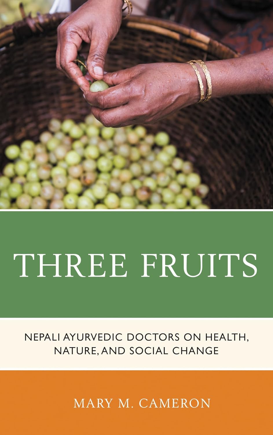 Three Fruits: Nepali Ayurvedic Doctors on Health, Nature, and Social Change (Anthropology of Well-Being: Individual, Community, Society)