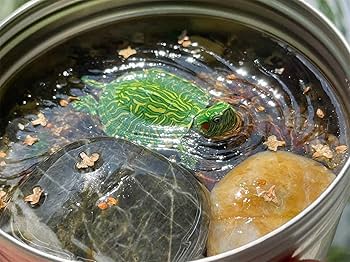 ミドリガメ様 Amazon | BACALYSO | アカミミガメ フィギュア 10CM級 動物