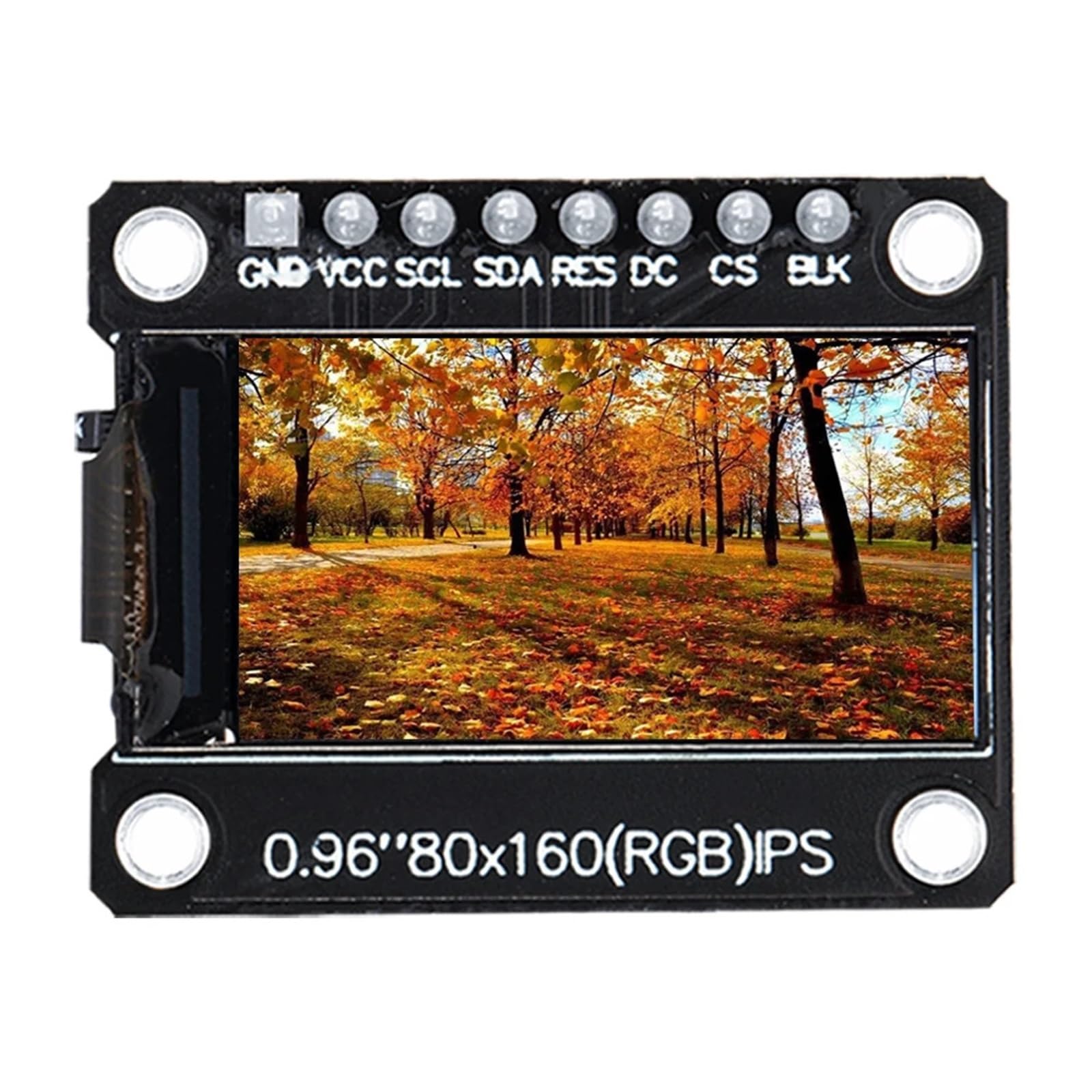 QAXIOQCS TFT Display 0.96 NCH HD 65K Full Color LCD Module ST7735 Drive IC 80 * 160 Black(0.96 TFT Blue 8P)