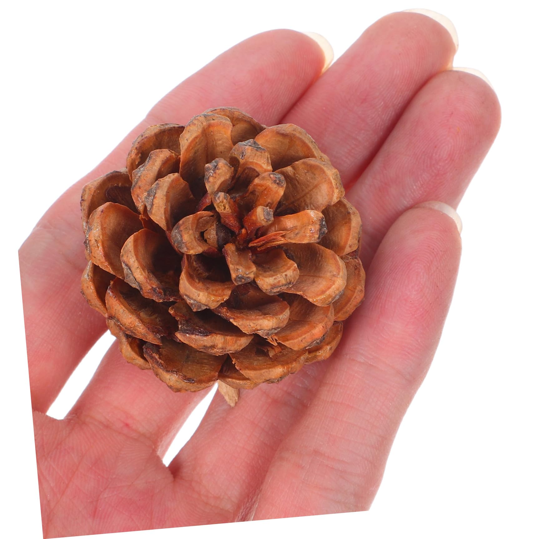 ERINGOGO 130 Pezzi Pigne Piccole Naturali per Decorazioni Natalizie e Autunnali, Riempitivo per Vaso in Pigne di Pino 3-4cm, Perfette per Decorazioni Fai da Te in Inverno e Ringraziamento