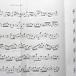 Music Stand Clips 6 Pcs, Clear Acrylic Music Book Page Paper Clips, Music Sheet Holder for Outdoor Playing Prevent Wind Clips