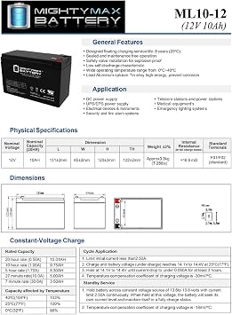 Mighty Max Battery 12V 10AH Battery Replaces Ritar RT12100S, RT 12100S + 12V Charger