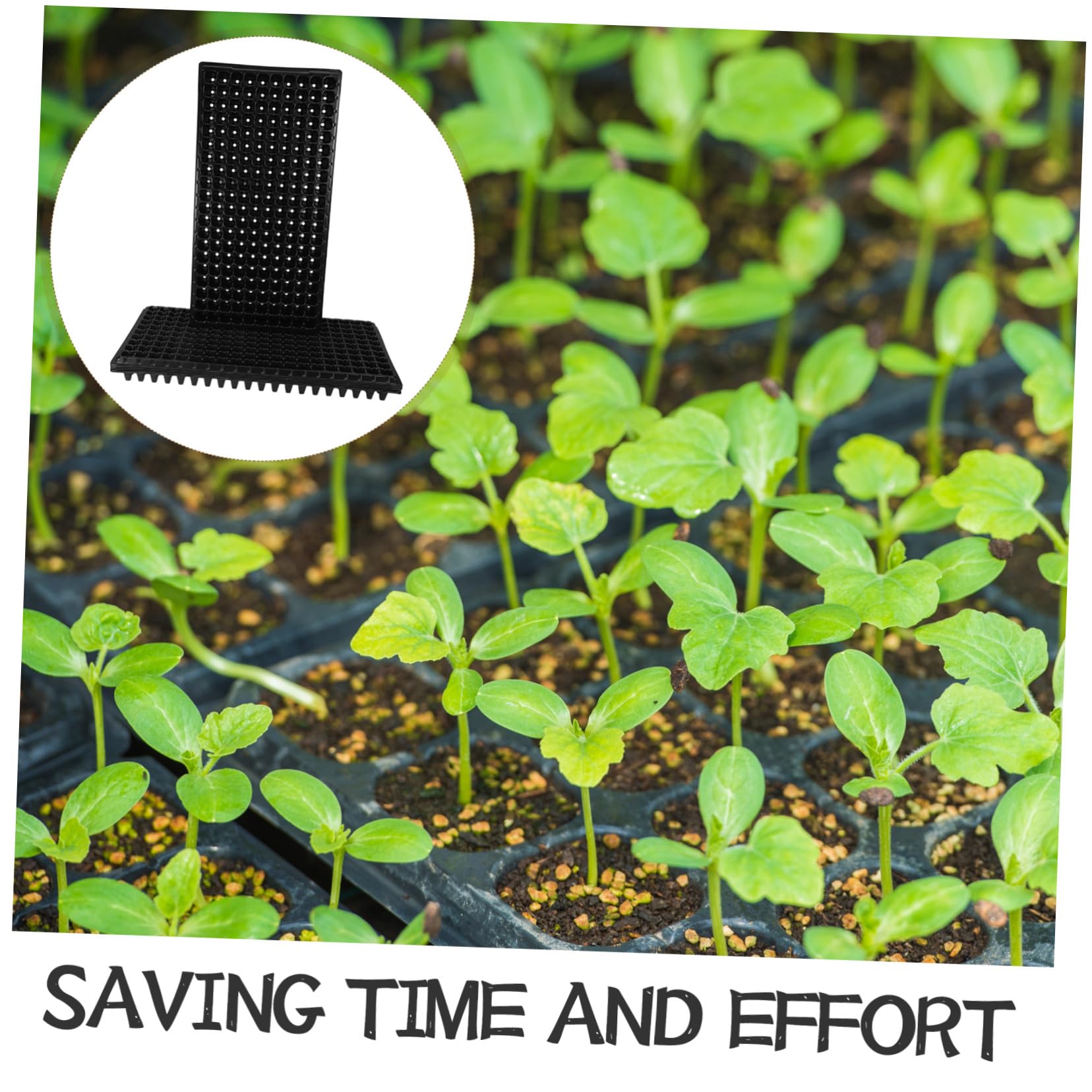 GANAZONO Kit de Germinación de Semillas 10 Bandejas de Cultivo de PVC Negro, Diseño de 200 Celdas Buena Ventilación y Fácil Extracción para Jardinería en Casa
