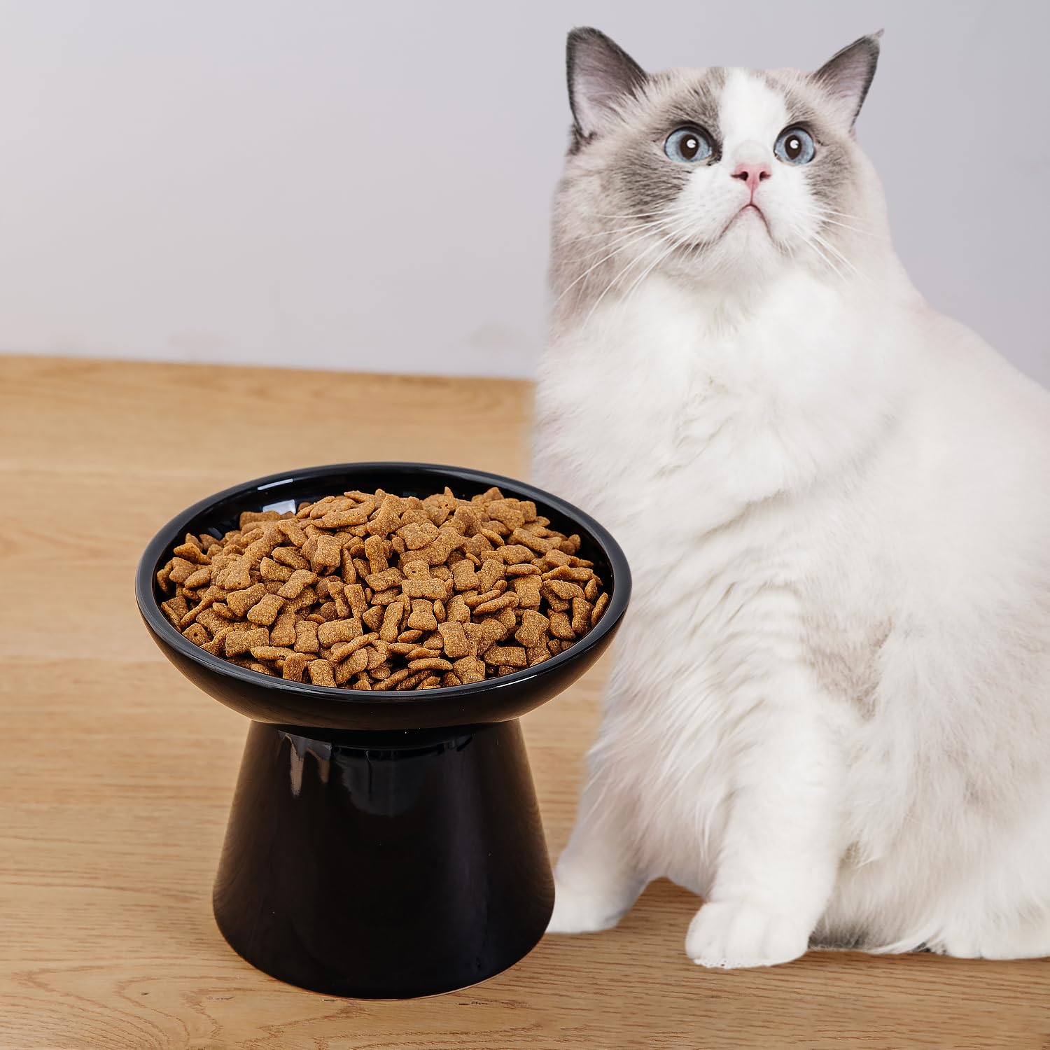 Cuenco elevado extra ancho para comida para gatos, cuencos de cerámica para alimentos y agua, plato ancho y poco profundo para gatos, fatiga del bigote, sin plomo ni cadmio, gran altura