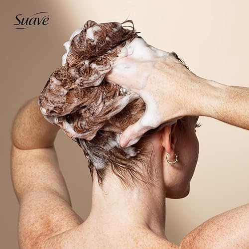 Miniatura 6 de Suave Champú Marroquí con Infusión de Aceite de 2 tamaños, limpiador diario suave para cabello suave y brillante