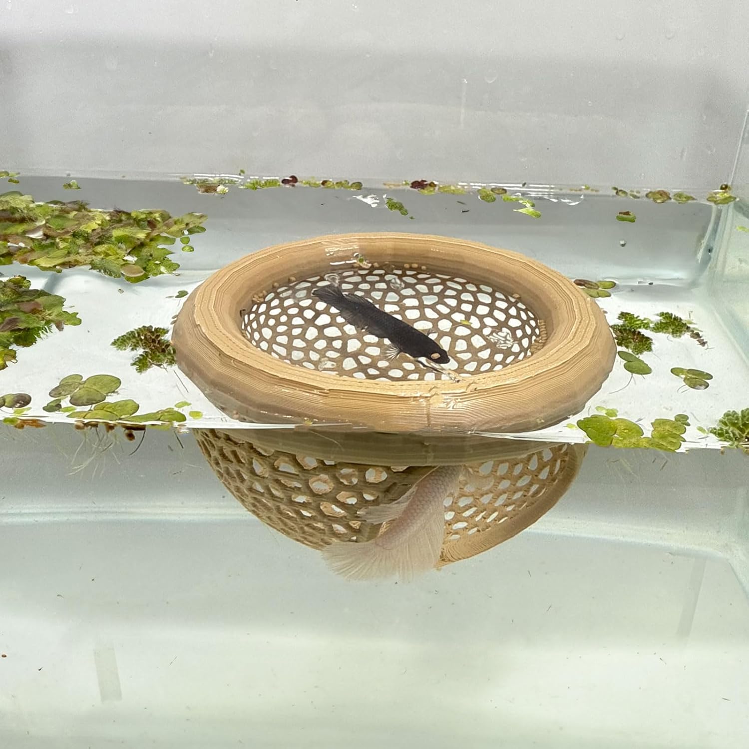 Aquarium Floating Betta Fish Skins, Betta or Shrimp Feeder, Cave and Hammock, Small Fish Feeding Rings, Aquarium Hiding Feeding Decorative Accessories (Wood Color)