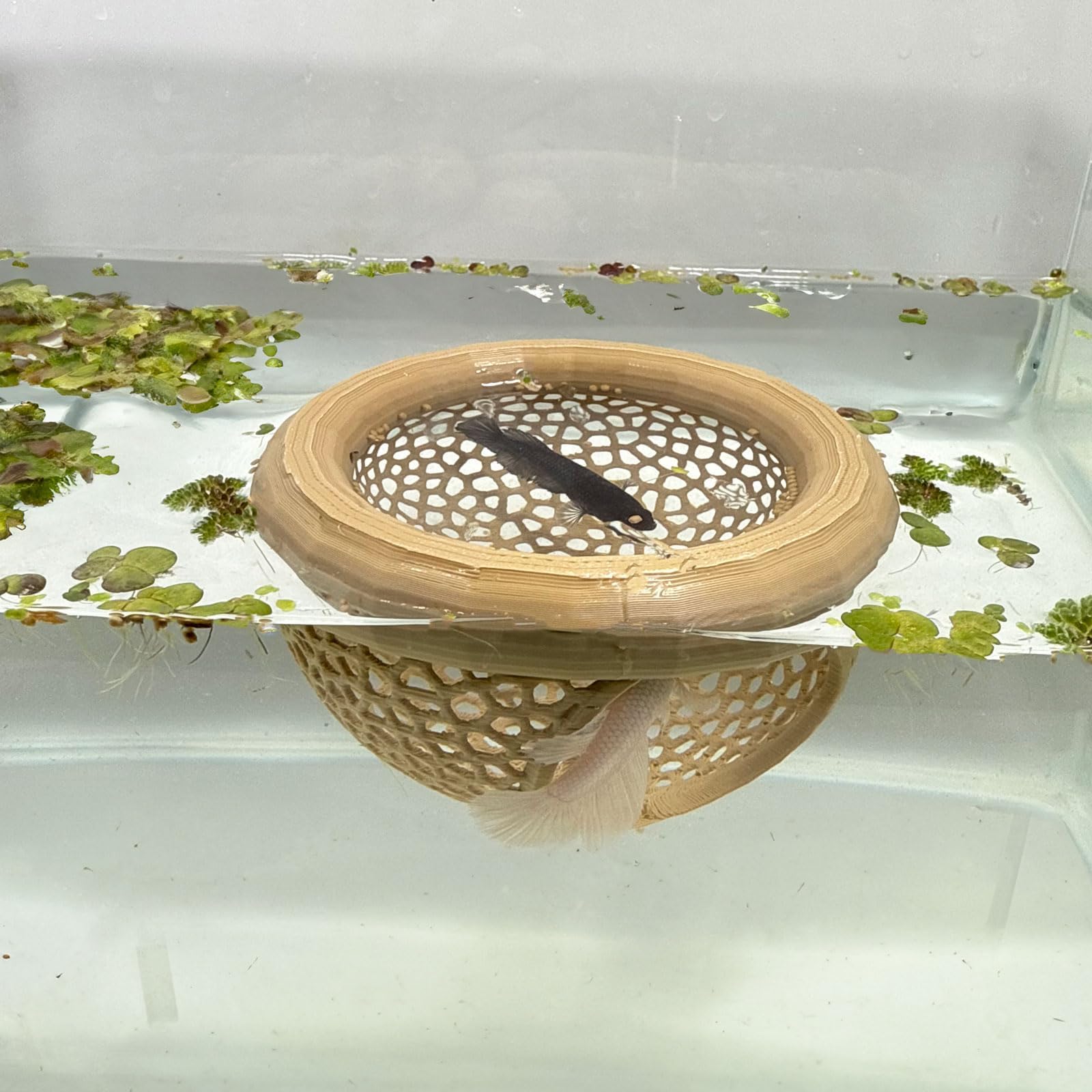 Aquarium Floating Betta Fish Skins, Betta or Shrimp Feeder, Cave and Hammock, Small Fish Feeding Rings, Aquarium Hiding Feeding Decorative Accessories (Wood Color)