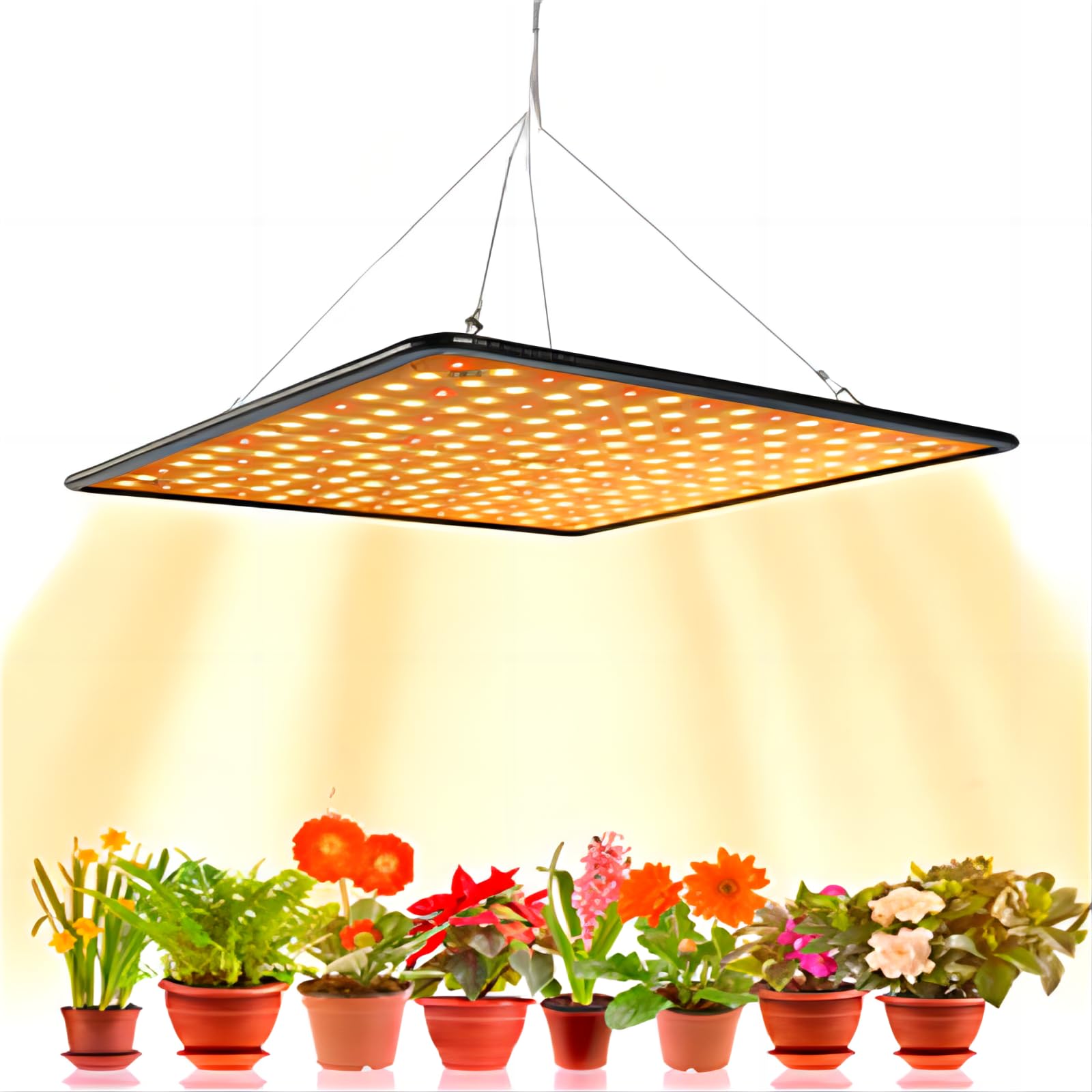NAIZY 50W Lampe Horticole LED Rond Spectre Complet Lampe de Croissance NAIZY 50W Lampe Horticole LED Rond Spectre Complet Lampe de Croissance
