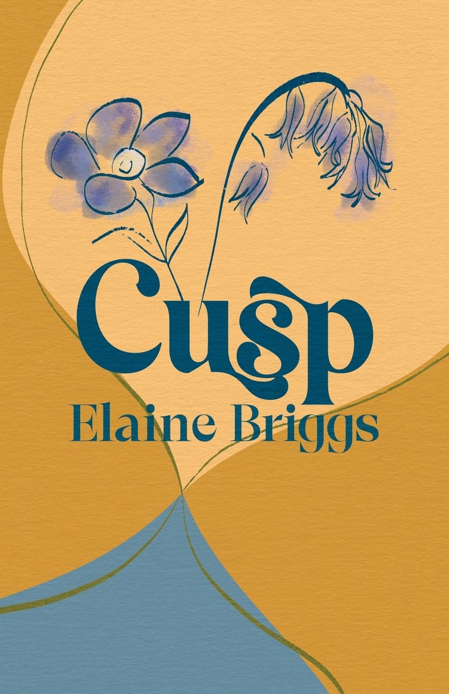 Cusp by Elaine Briggs PAPERBACK 9781788641739