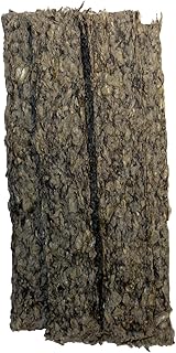 Kaustreifen Lachs pur, 5 x 12 cm | natürliche Kauartikel für Hunde | Monoprotein | Zahnpflege & Beschäftigung | Zutaten aus der EU | ohne Zusatzstoffe | hypoallergen | für Allergiker | 100% Lachs product image