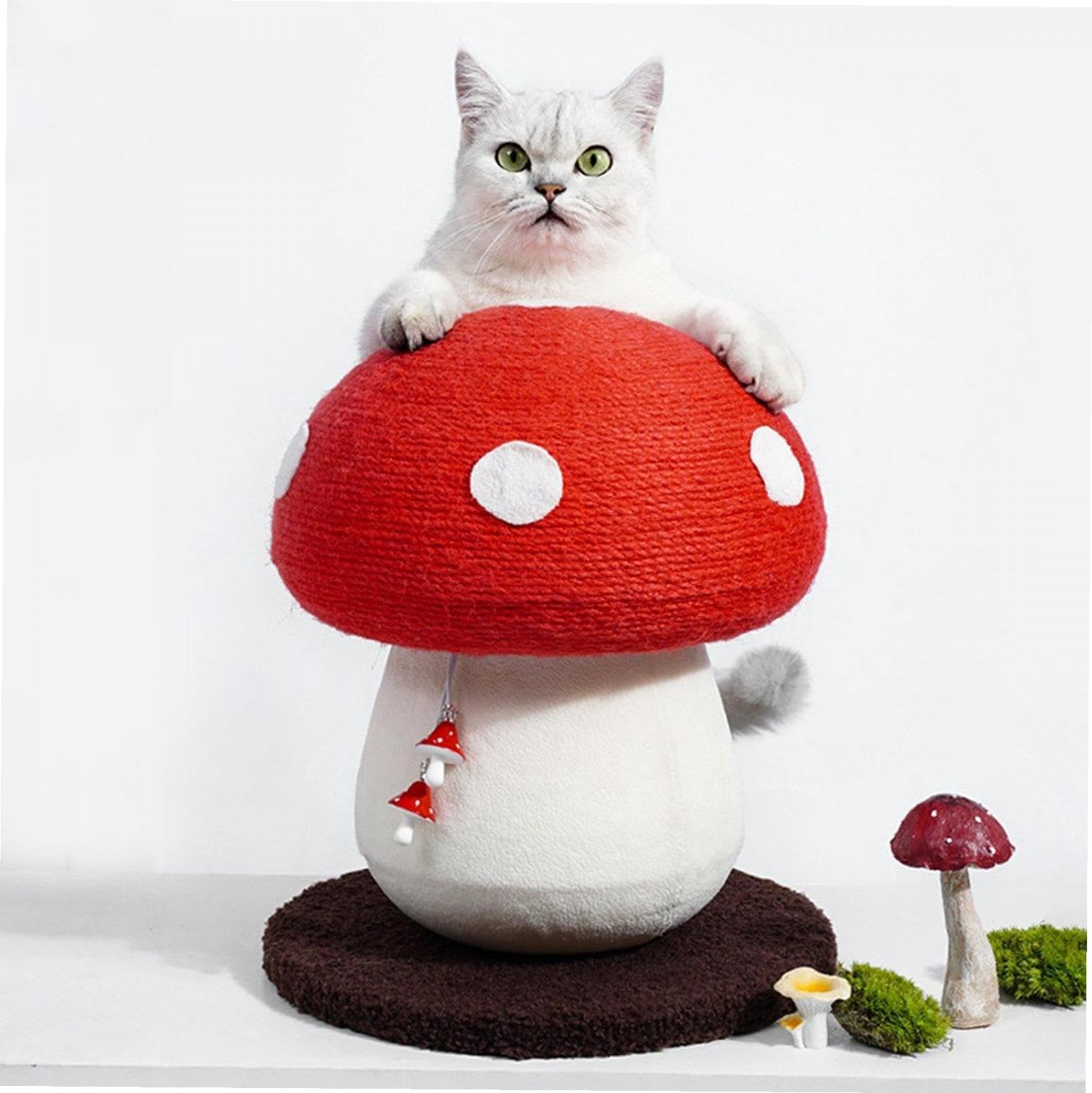 Amazon.co.jp: 猫用爪とぎ きのこ 爪みがき かわいい ストレス解消 猫