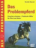 problempferde kaufen  Das Problempferd