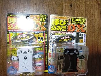 ✨️最後の再販✨️ ドン・キホーテ呼び込み君BGMカード ✨️最後の