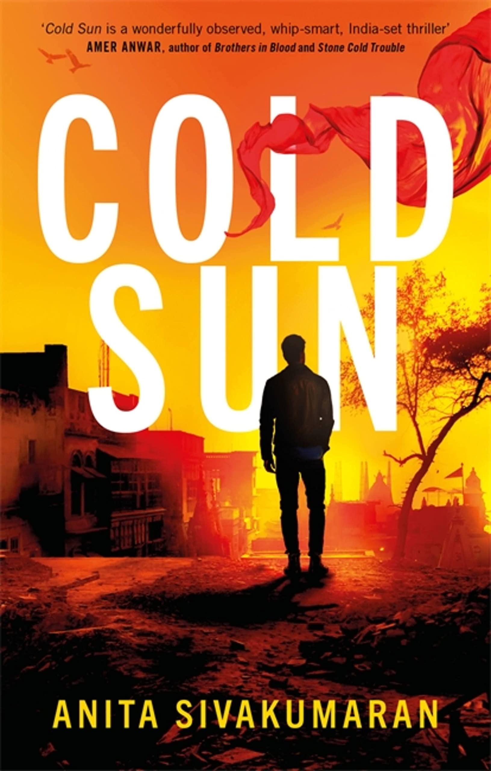 Cold Sun: An utterly gripping crime thriller packed with suspense (Detective Vijay Patel)