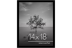Americanflat Polished Plexiglass 14 x 18 Inch Gallery Wall Picture Frame
