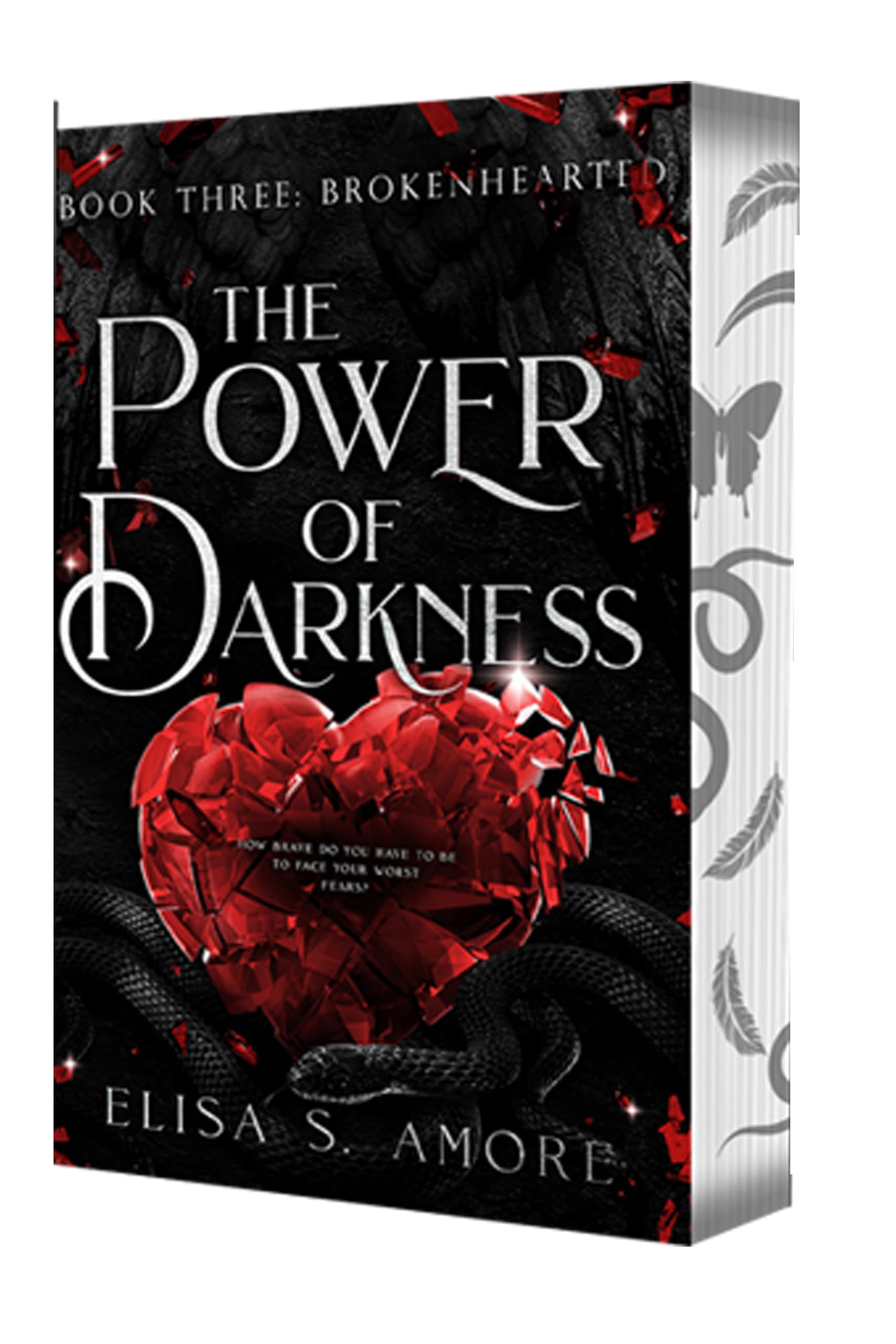 Brokenhearted - The Power of Darkness (Touched Saga)