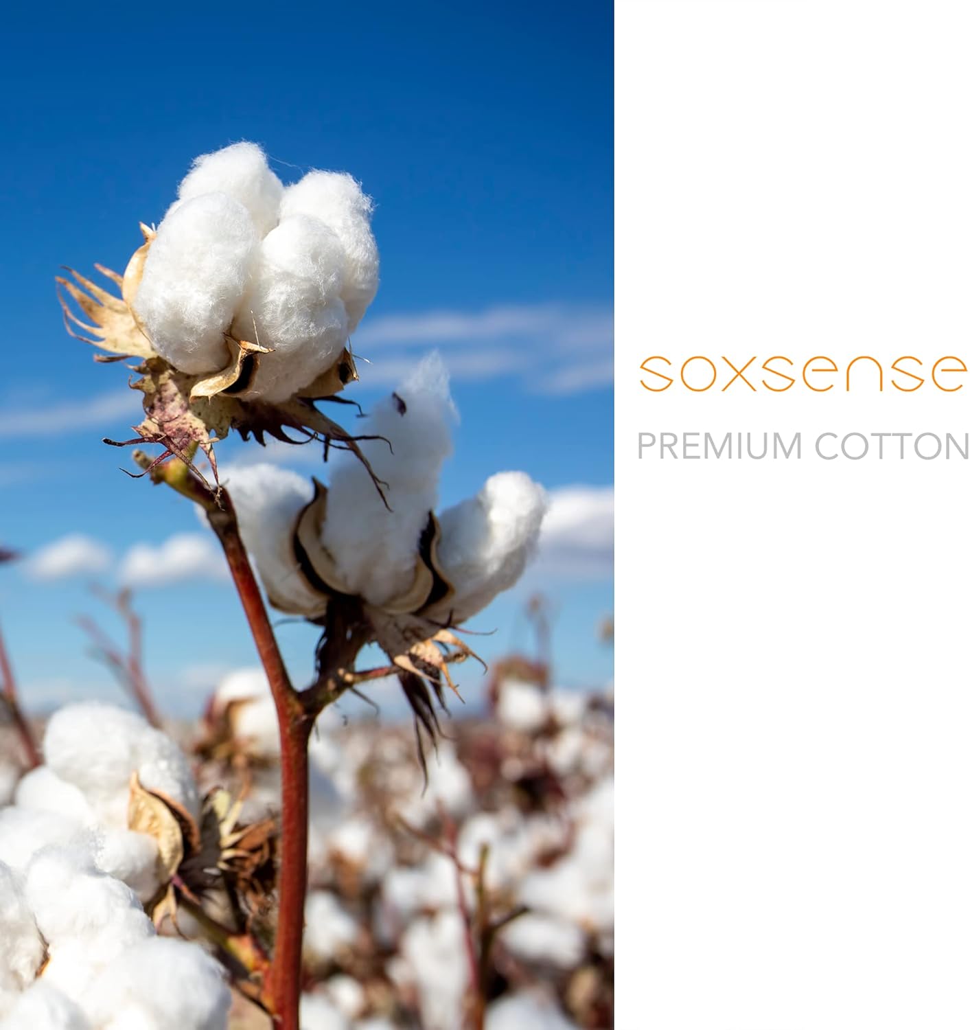 Toe Socks for Men and Women Athletic Running Five Finger Five Toe Socks with Premium Cotton LightWeight Size 6-14 - Image 6