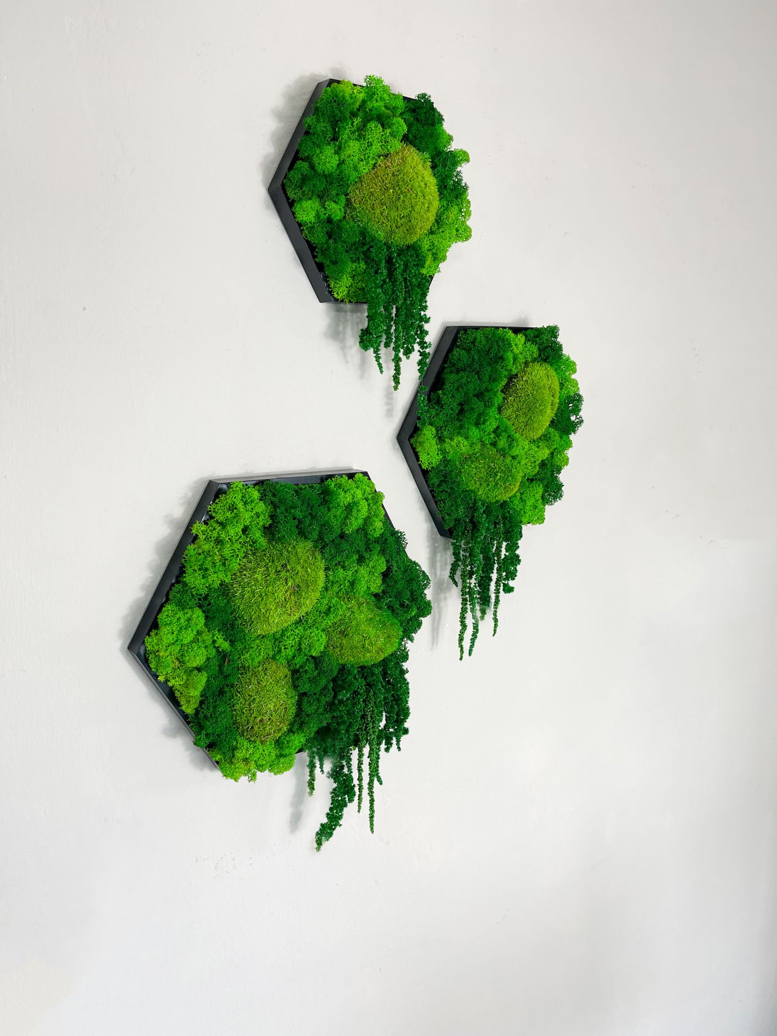 Gedankenwunder Manufaktur Island Ranke Moosbild Hexagon Sechseck