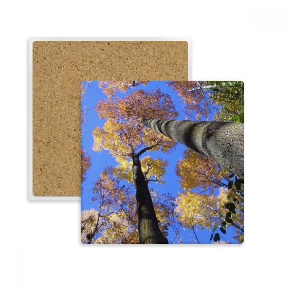 Tasse Coaster Porte Absorbent Pierre pour Tasse de Café et Thé Décoration Nature Automne