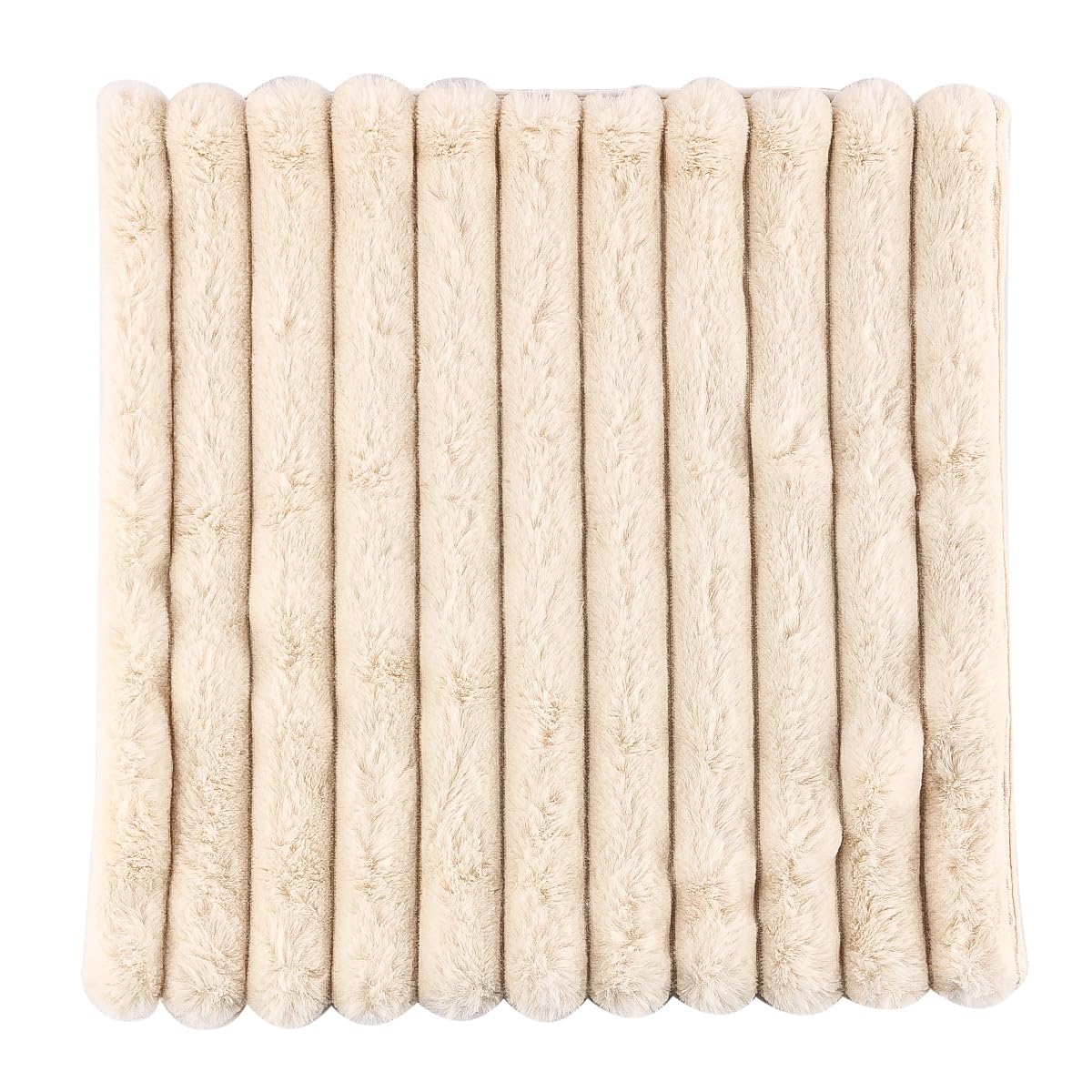 Housse de coussin lavable fermeture éclair en velours anti-tache lot de 2