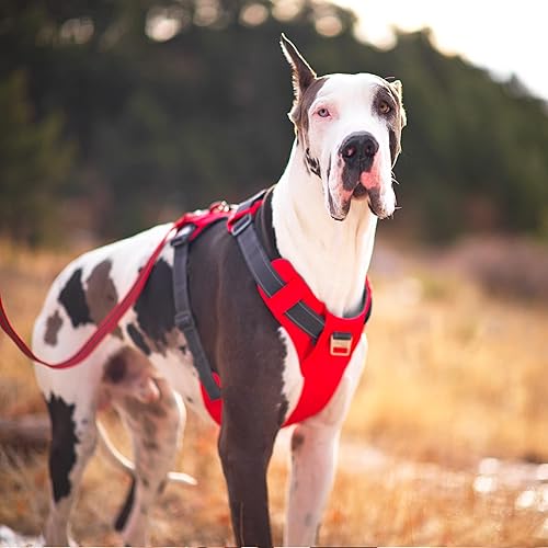 Miniatura 7 de Outward Hound Boulder Adventure Arnés ajustable para perro con bolsillos, rojo, pequeño