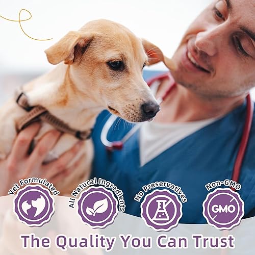 Miniatura 7 de ZEBORA Probióticos para perros, probióticos para perros para la salud digestiva, con calabaza, enzimas digestivas, omega-3, apoyo intestinal, salud