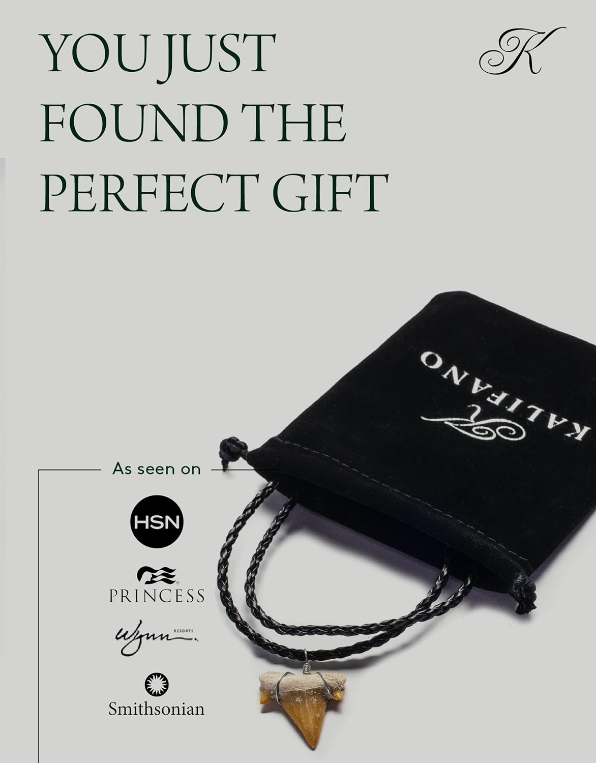 KALIFANO Fossilized Shark Tooth Necklace - Authentic Prehistoric Shark Teeth Fossil Pendant on 18" Inch Braided Leather Cord - Great Gift for Men and Boys (Information Card Included) - Image 5