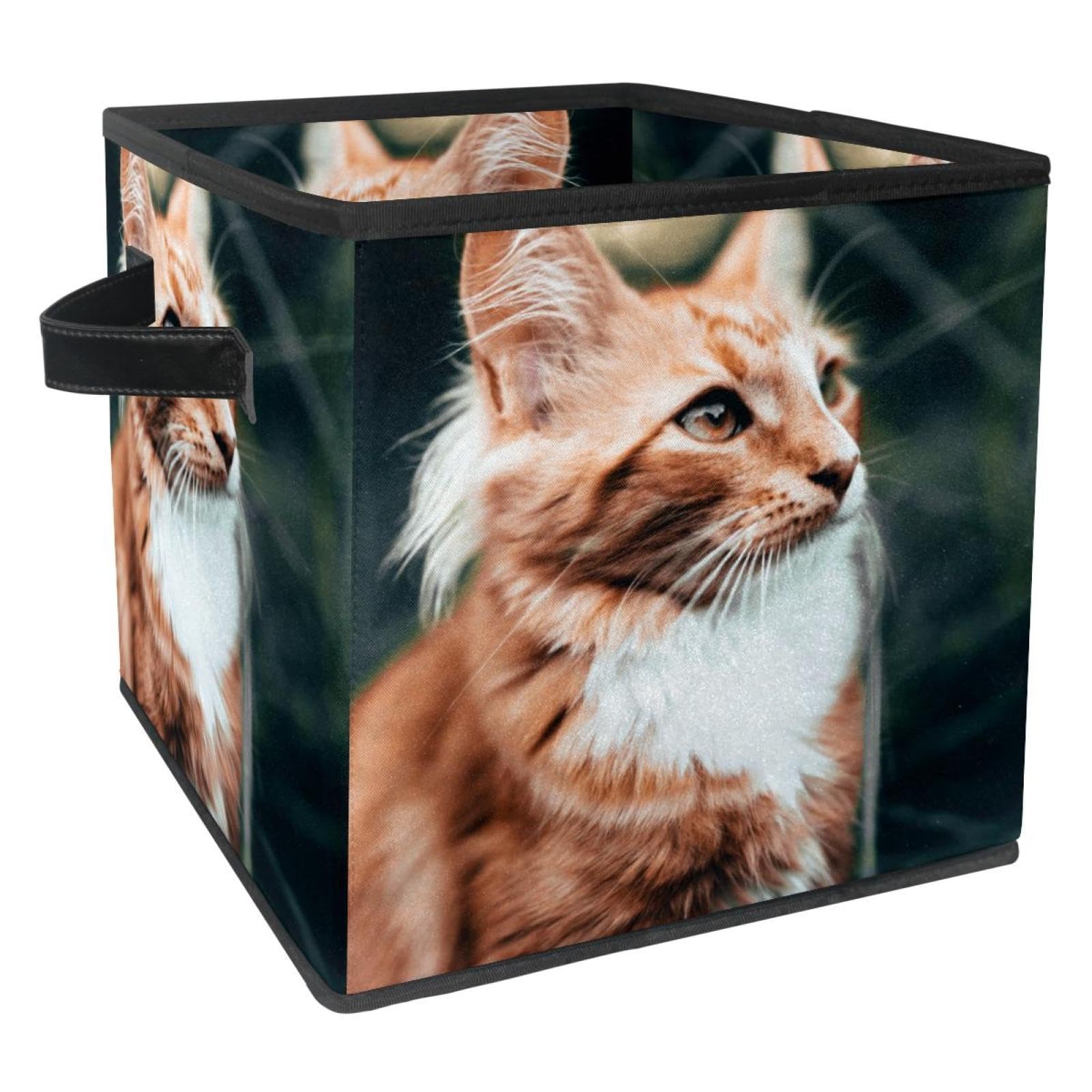 Boîte de rangement pliable pour livres et jouets afin de désencombrer
