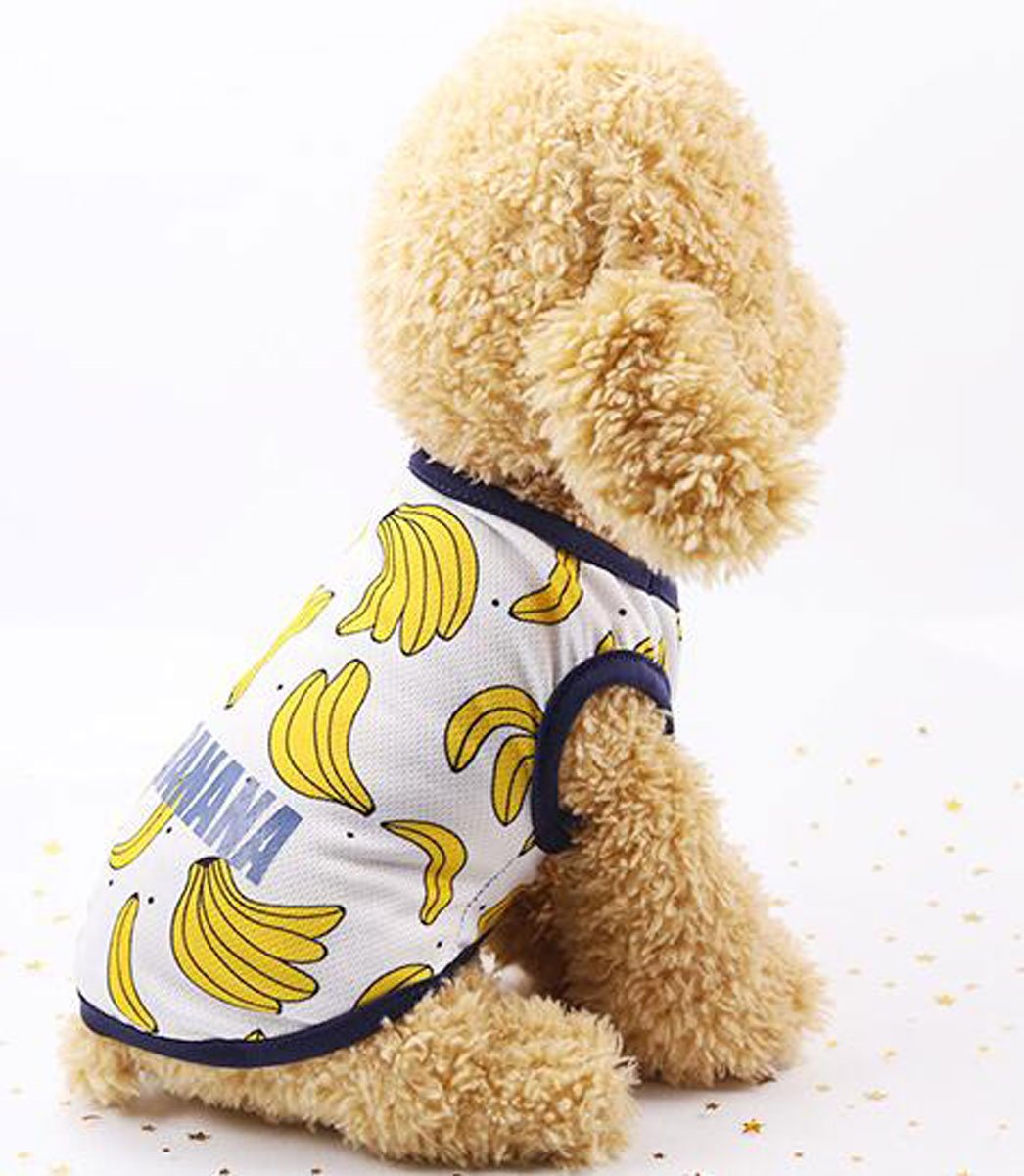 Amazon.co.jp: 可愛い 通気性メッシュ小中型犬服Tシャツ スポーツ服 