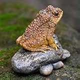 Lifelike Resin Toad Figurine - Hand-Sized 3.5