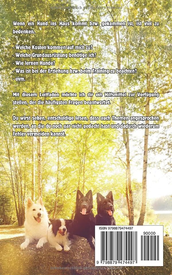 Hundeleitfaden: Was du vor und nach dem Kauf eines Hundes unbedingt wissen solltest