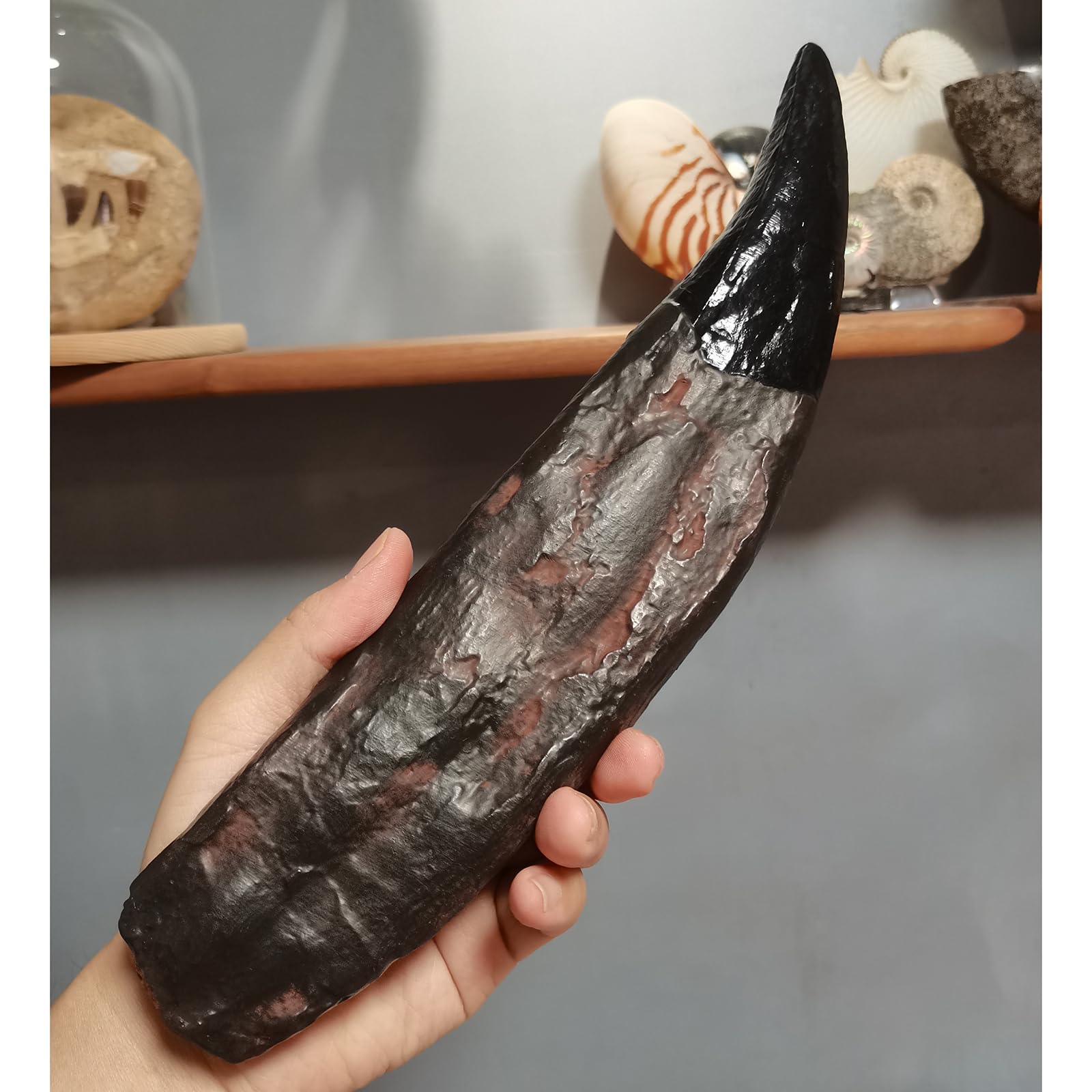T-Rex - Estatua de diente de calavera de dinosaurio, réplica de fósil para regalo decorativo coleccionable educativo