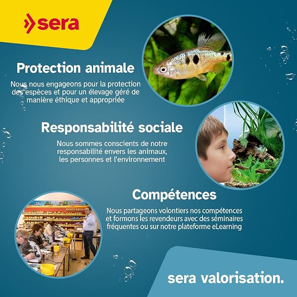 sera reptil Professional herbivor Nature 3,8 L (1 kg) | Alimentation pour iguanes & Tortues, sans Colorant ni Conservateur 3.800 ML 1.000 g | Rapport Optimal ca/p | Herbes Naturelles - 4