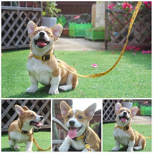 Vista 79 de Roses&Poetry Juego de collar y correa para perro pequeño, juego de correa y collar reflectante para cachorros, collares duraderos ajustables