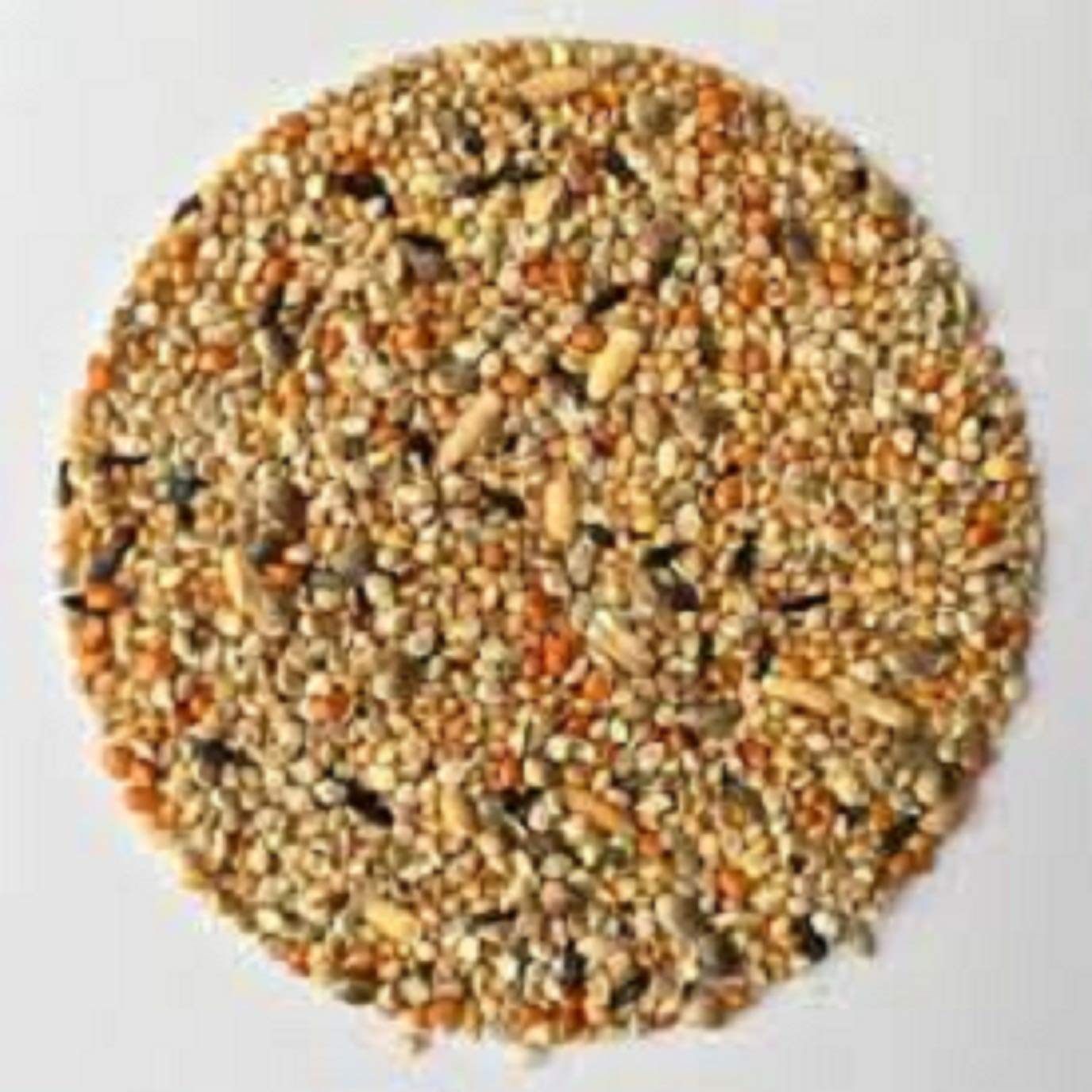 Buy HANU Bajri Bird Food 5KG Mix Seed for Budgies, Love Birds