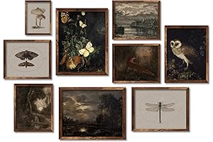 Whaline 9Pcs Dark Academia Wall Art Prints