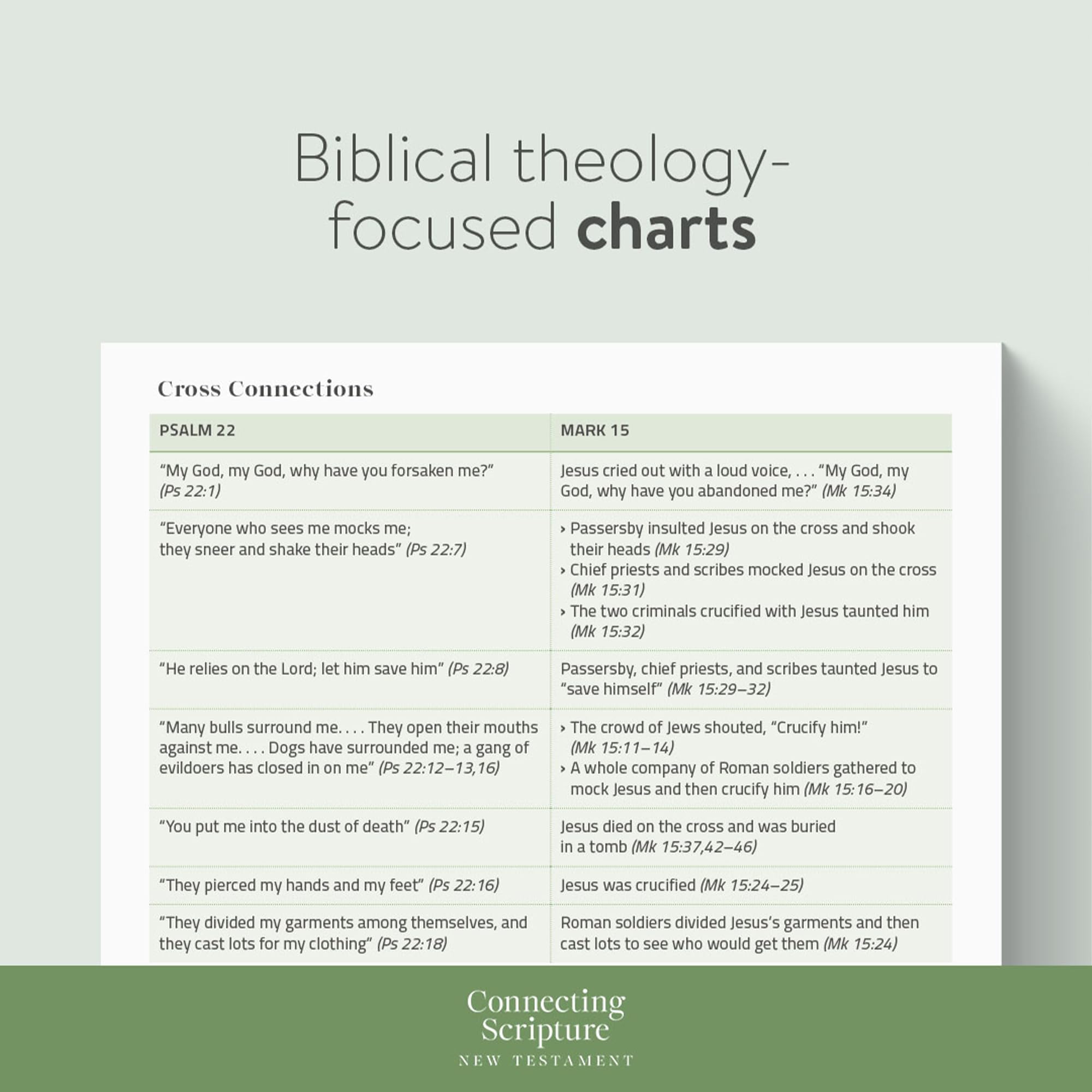 CSB Connecting Scripture New Testament, Hardcover