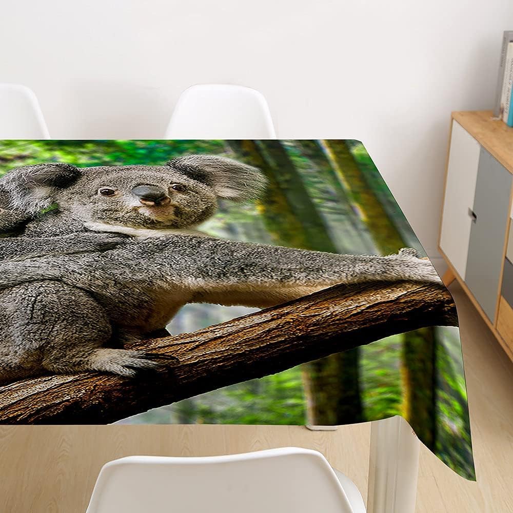 Tovaglia Antimacchia Rettangolare/Quadrata Simpatico Koala, Tovaglie da Tavolo Impermeabile Poliestere Bosco 3D, per Natalizia Cucina Feste Giardino, 200x200 cm A/B32