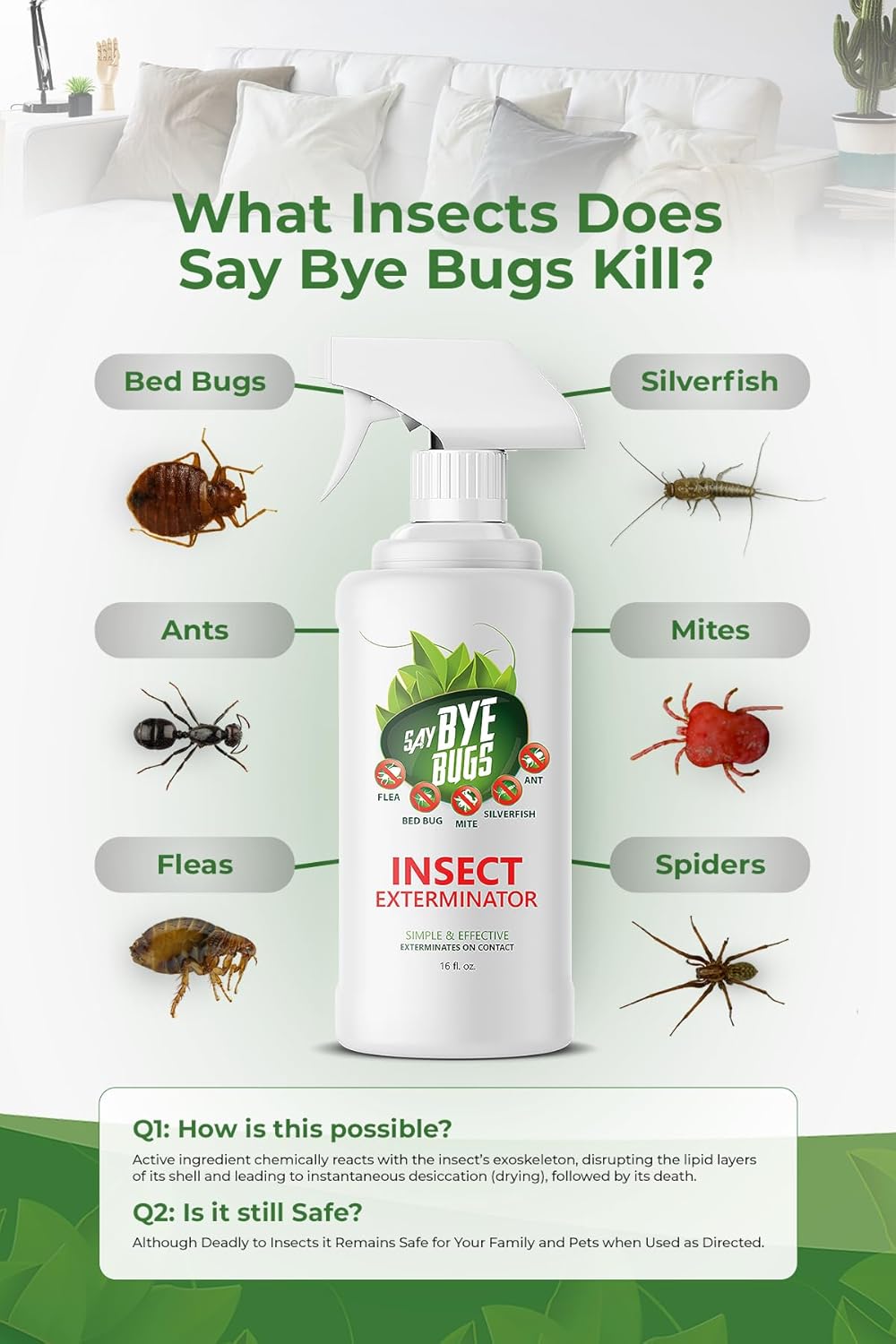 Say Bye Bugs Insect Exterminator - a Non-Toxic, Kill on Contact Bug Spray hat Doesn't Stain & is Odor Free. Kills Fleas, Ants, Mites, Silverfish, and Other Home Insects. Shake & Spray (6X 16oz)