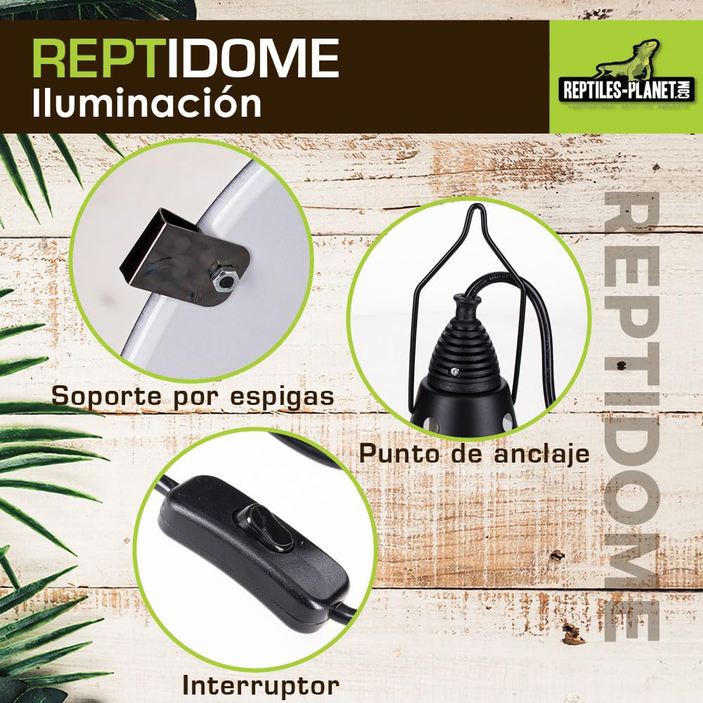 Reptiles Planet - Reptidome 14 - Soporte de Bombilla para Colgar o Colocar en el terrario, diámetro 14 cm, Altura 18,2 cm