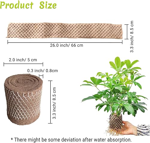 Miniatura 5 de 6 cápsulas hidropónicas, esponja hidropónica compatible con varios sistemas de plantación Aero-Garden, esponja de repuesto para crecimiento de