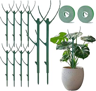 10PCS Monstera Plant Support, Stackable Plant Stakes for Indoor Plants, Plant Sticks Support Tall for Climbing Potted Plants