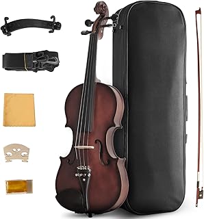 Acoustic Violin 4/4 Full Size, Solid Wood Fiddle for Beginners Adults, Ebony Fitted Satin Antique Finish Violin Starter Kit with Hard Case
