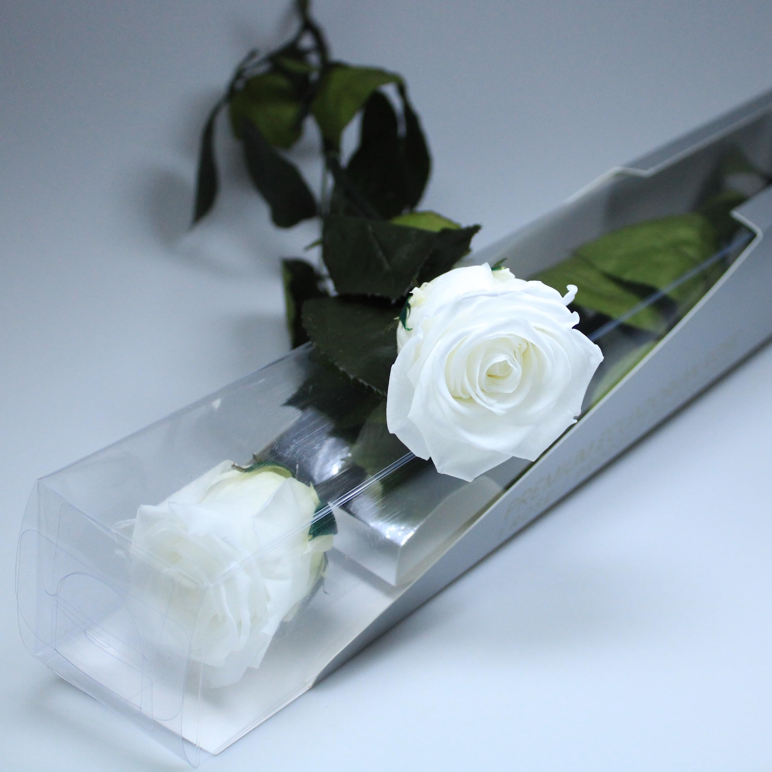 Rose Blanche Préservée éternelle Avec Tige 55 Cm - Fleur Naturelle Durable, Sans Entretien - Cadeau Pour Femme, Maman, Amoureuse